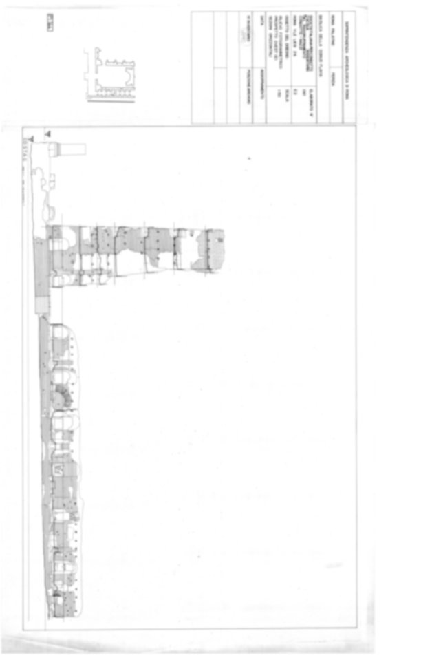 Roma, Palatino. Palazzi Imperiali. Domus Flavia - Basilica