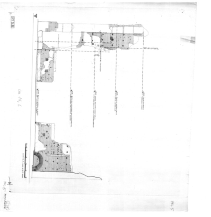 Roma, Palatino. Palazzi Imperiali. Domus Flavia - Basilica