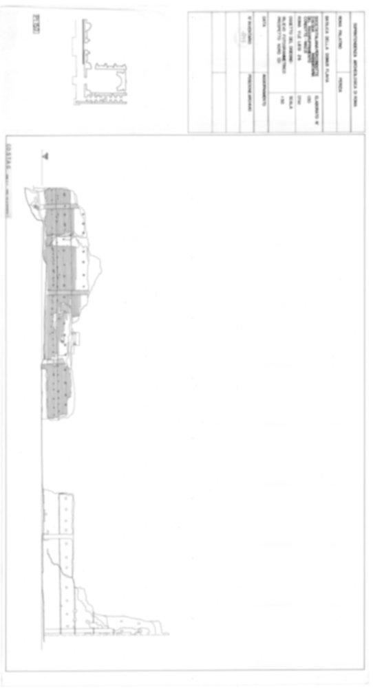 4797 - Roma, Palatino. Palazzi Imperiali. Domus Flavia - Aula Regia