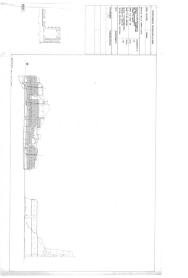 Roma, Palatino. Palazzi Imperiali. Domus Flavia - Aula Regia