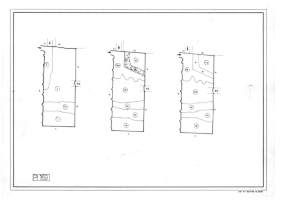 Roma, Palatino. Palazzi Imperiali. Domus Flavia