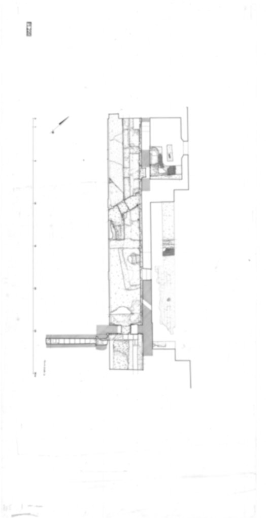 Roma, Palatino. Palazzi Imperiali. Domus Flavia; Domus Transitoria/Domus Aurea; Museo Palatino