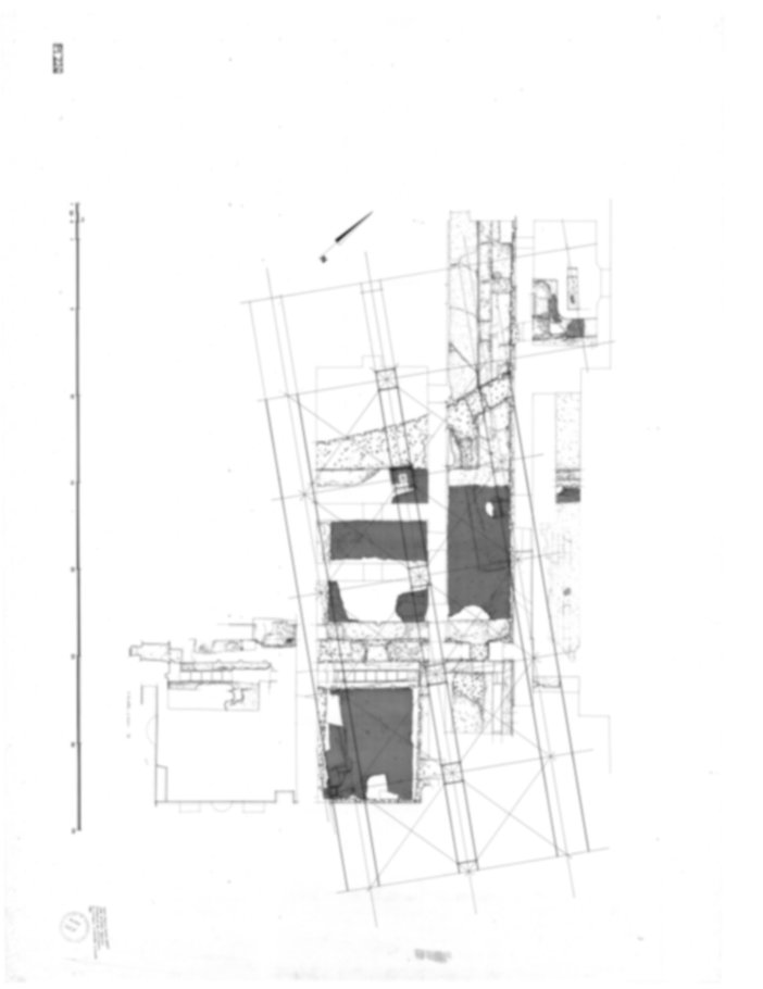 Roma, Palatino. Palazzi Imperiali. Domus Flavia; Domus Transitoria/Domus Aurea; Museo Palatino