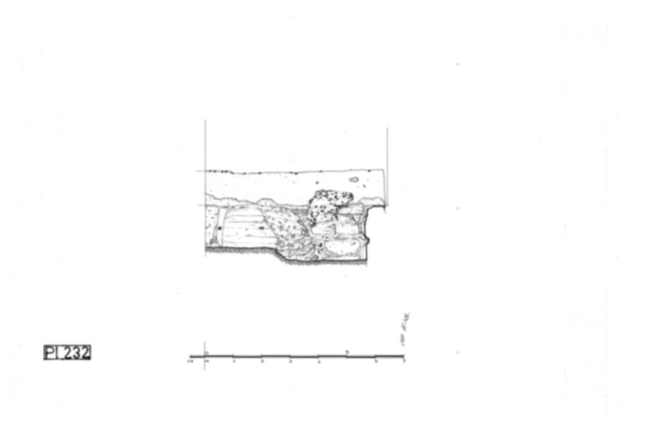 Roma, Palatino. Palazzi Imperiali. Domus Flavia; Museo Palatino