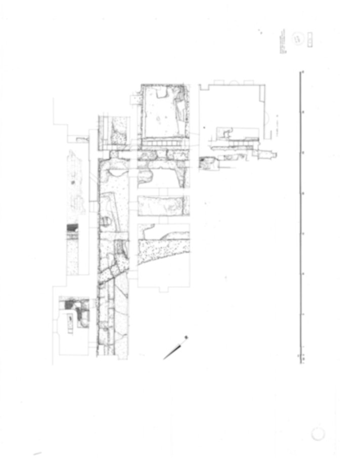 Roma, Palatino. Palazzi Imperiali. Domus Flavia; Domus Transitoria/Domus Aurea; Museo Palatino