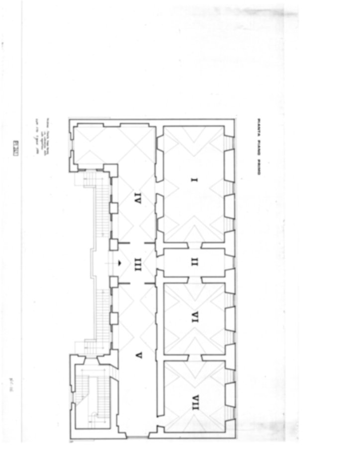 Roma, Palatino. Palazzi Imperiali. Museo Palatino