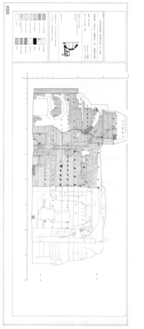 9038 - Roma, Palatino. Palazzi Imperiali. Stadio di Domiziano