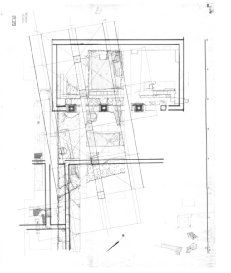Roma, Palatino. Palazzi Imperiali. Museo Palatino