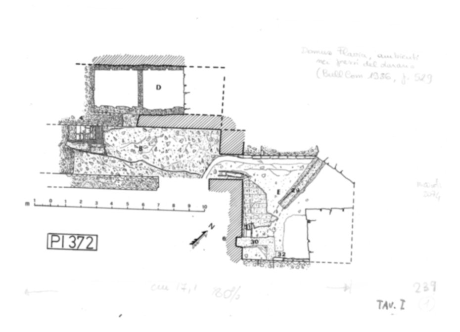 Roma, Palatino. Palazzi Imperiali. Domus Flavia