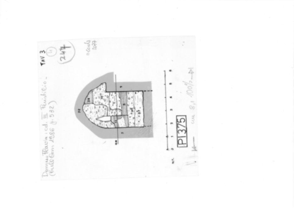 Roma, Palatino. Palazzi Imperiali. Domus Flavia