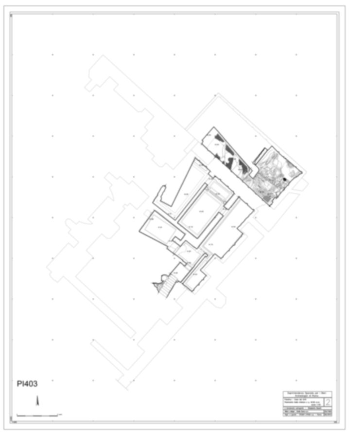 Roma, Palatino. Palazzi Imperiali. Domus Flavia, Casa dei Grifi