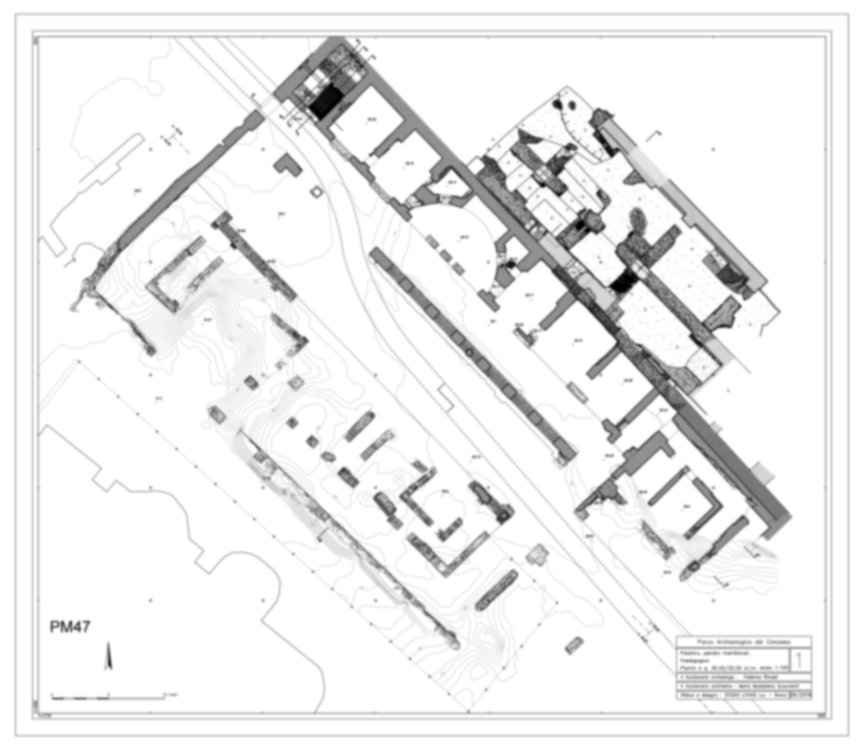 Roma, Palatino. Pendici meridionali. Paedagogium-Pedagogio