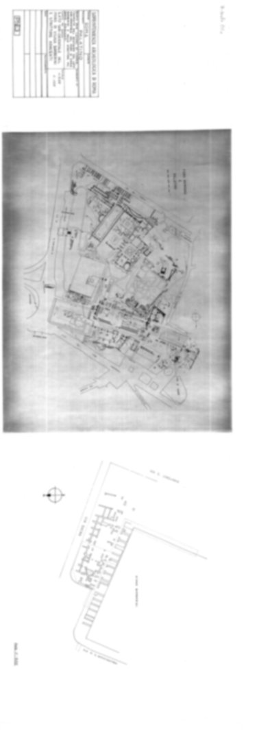 Roma, Palatino. Pendici nord-orientali. Cd. Bagni di Elagabalo/Bagni di Nerone