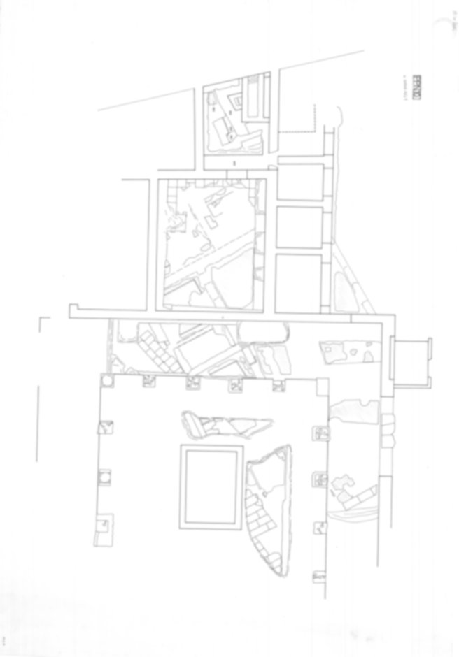 Roma, Foro Romano, Palatino. Palatino pendici nord - Scavo Carandini. Casa delle Vestali