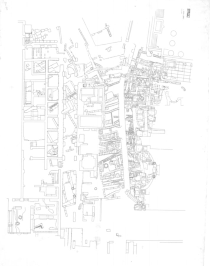 Roma, Foro Romano. Palatino pendici nord - Scavo Carandini. Via Sacra; Tempio di Romolo; Sepolcreto arcaico; Domus Publica