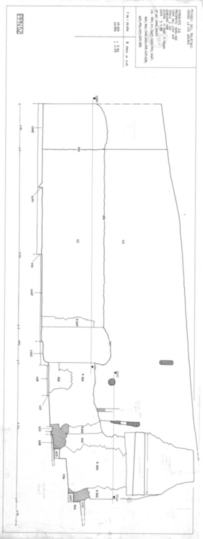 5350 - Roma, Foro Romano, Palatino. Palatino pendici nord - Scavo Carandini. Horrea Vespasiani
