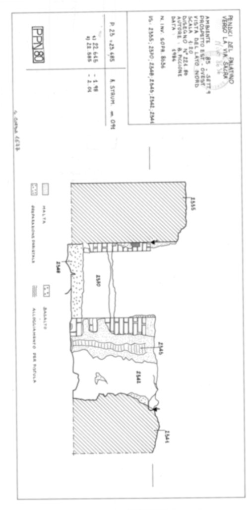 Roma, Foro Romano, Palatino. Palatino pendici nord - Scavo Carandini. Horrea Vespasiani