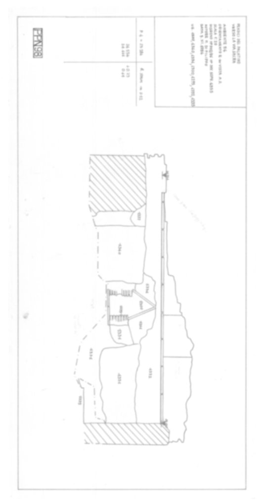 Roma, Foro Romano, Palatino. Palatino pendici nord - Scavo Carandini. Horrea Vespasiani