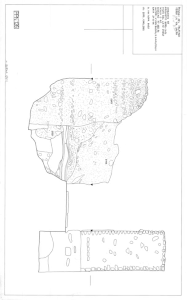 Roma, Foro Romano, Palatino. Palatino pendici nord - Scavo Carandini. Horrea Vespasiani