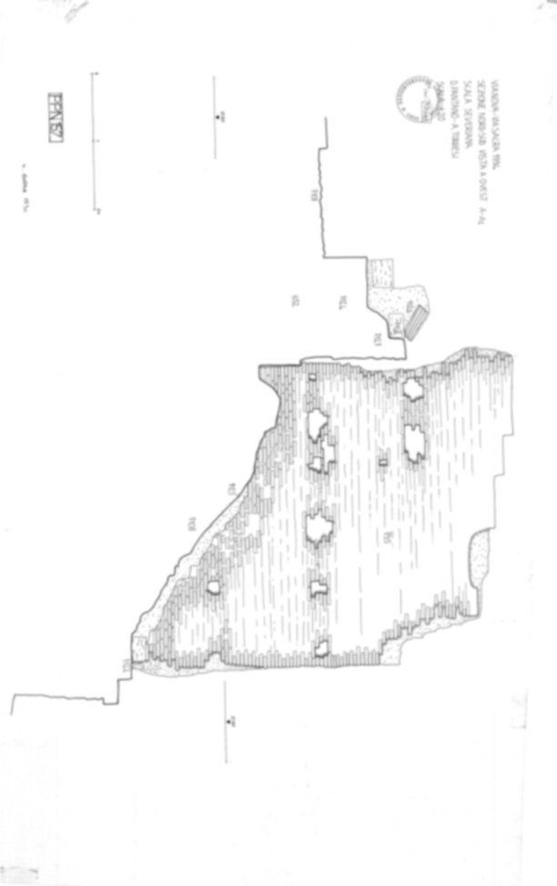 Roma, Foro Romano, Palatino. Palatino pendici nord - Scavo Carandini. Horrea Vespasiani