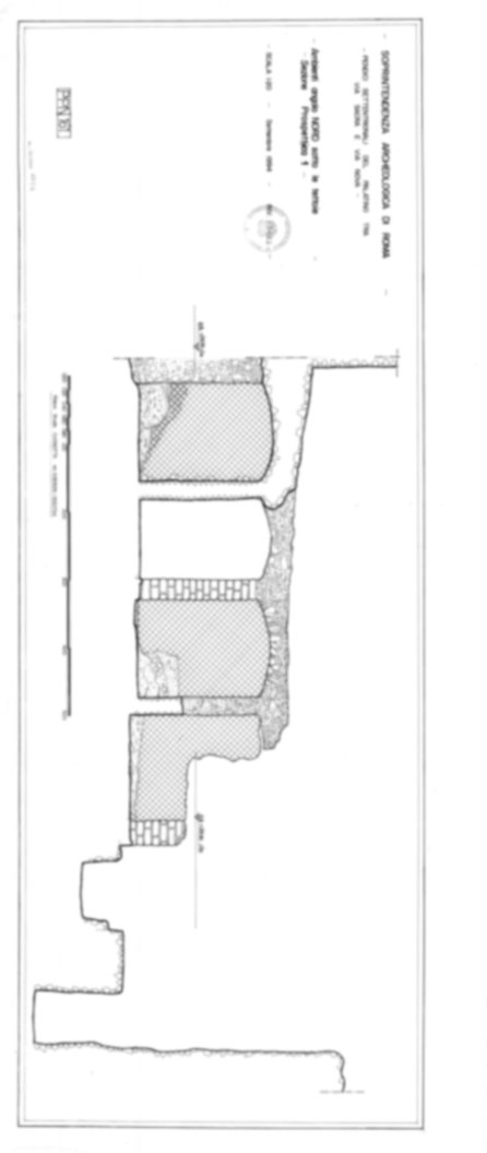 Roma, Foro Romano, Palatino. Palatino pendici nord - Scavo Carandini. Cd. Lupanar