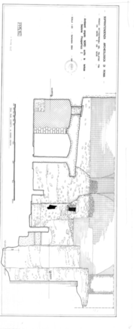 Roma, Foro Romano, Palatino. Palatino pendici nord - Scavo Carandini. Cd. Lupanar