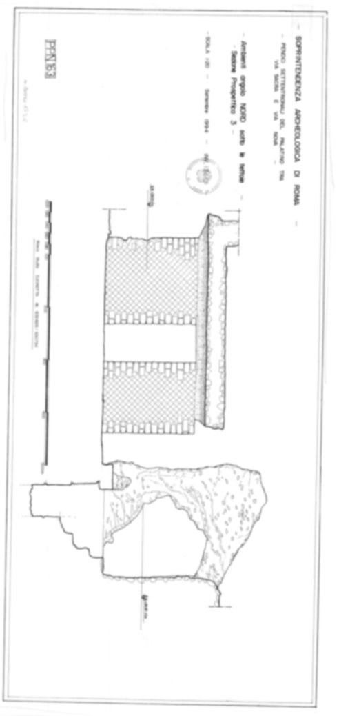 Roma, Foro Romano, Palatino. Palatino pendici nord - Scavo Carandini. Cd. Lupanar
