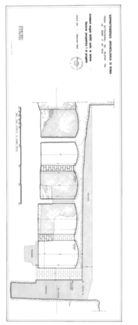 Roma, Foro Romano, Palatino. Palatino pendici nord - Scavo Carandini. Cd. Lupanar