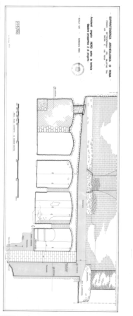 Roma, Foro Romano, Palatino. Palatino pendici nord - Scavo Carandini. Cd. Lupanar