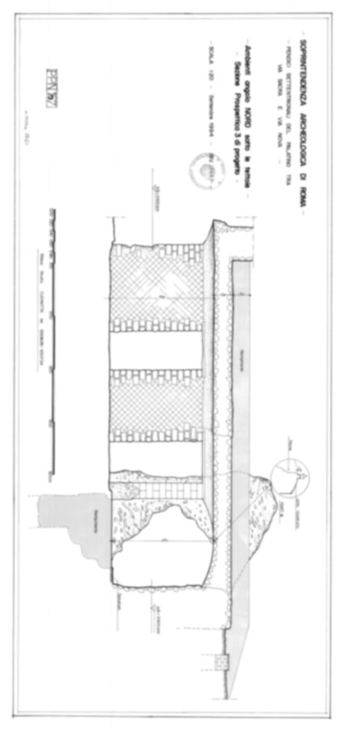 Roma, Foro Romano, Palatino. Palatino pendici nord - Scavo Carandini. Cd. Lupanar
