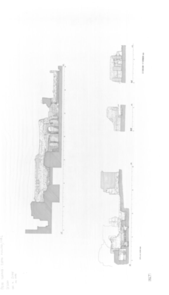Roma, Foro Romano. Rostra augustei