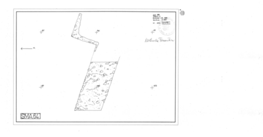 Roma, Foro Romano. Complesso edilizio sud-orientale/Area di S. Maria Antiqua. Aula occidentale (cd. Tempio di Augusto/Domus Gai)