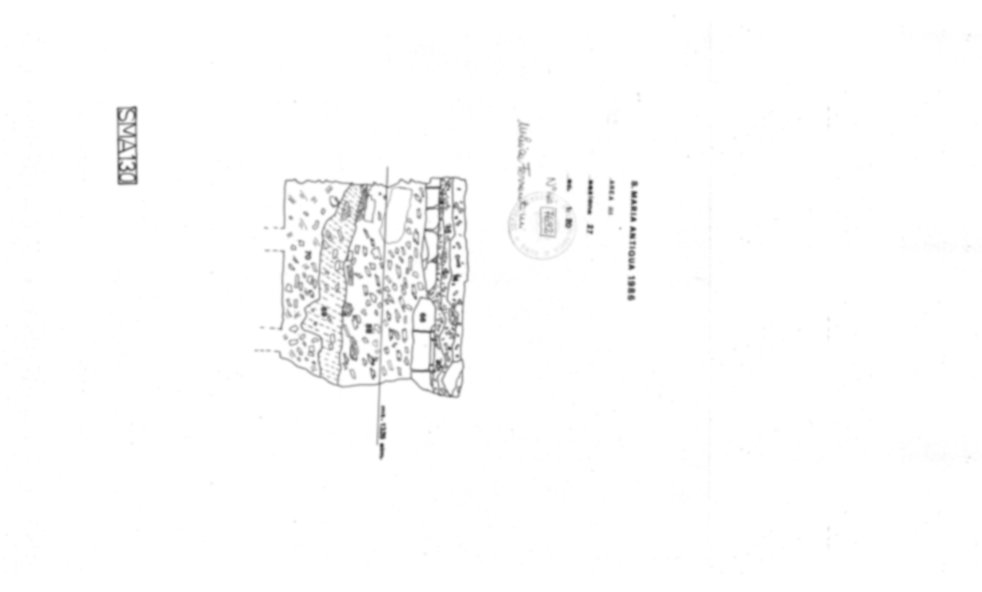 Roma, Foro Romano. Complesso edilizio sud-orientale/Area di S. Maria Antiqua. Aula occidentale (cd. Tempio di Augusto/Domus Gai)
