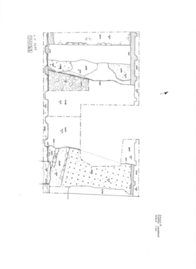 Roma, Foro Romano. Complesso edilizio sud-orientale/Area di S. Maria Antiqua