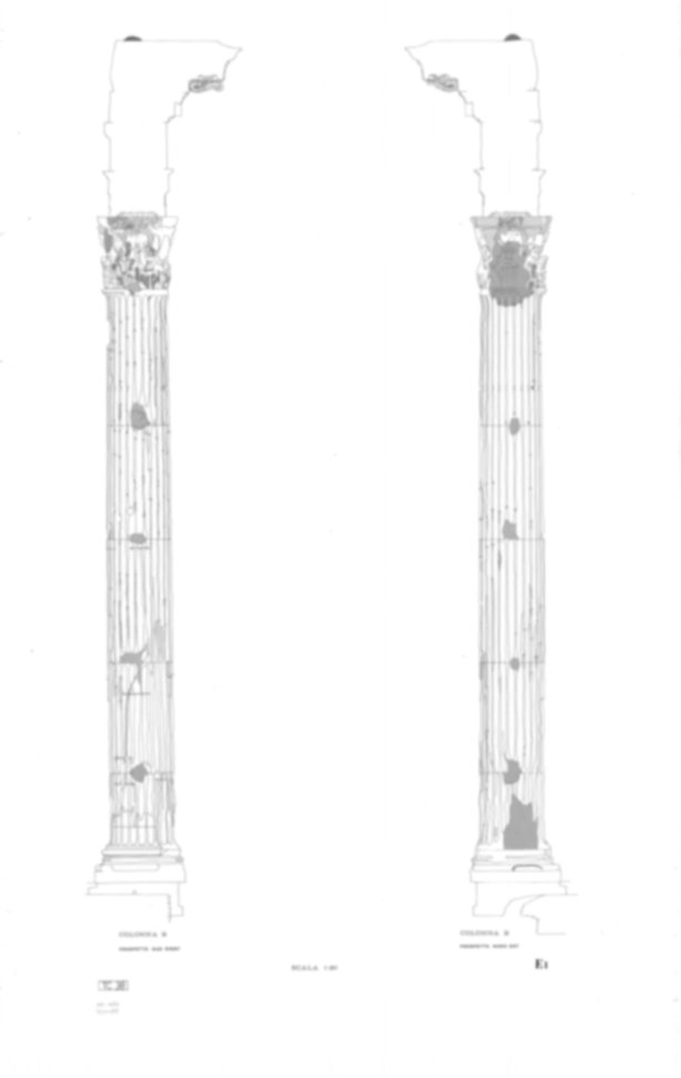 TC38 - Roma, Foro Romano. Tempio dei Castori