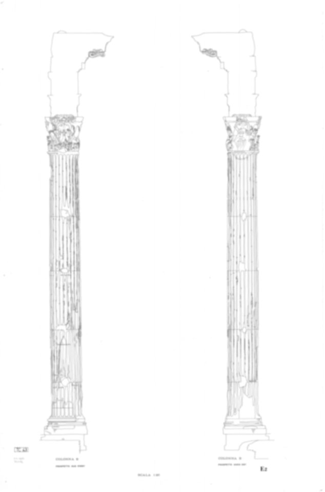TC43 - Roma, Foro Romano. Tempio dei Castori