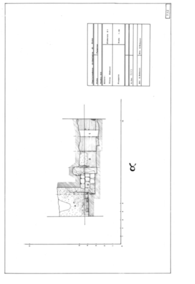 Roma, Palatino. Area sud-ovest. Pendici. Tempio della Magna Mater