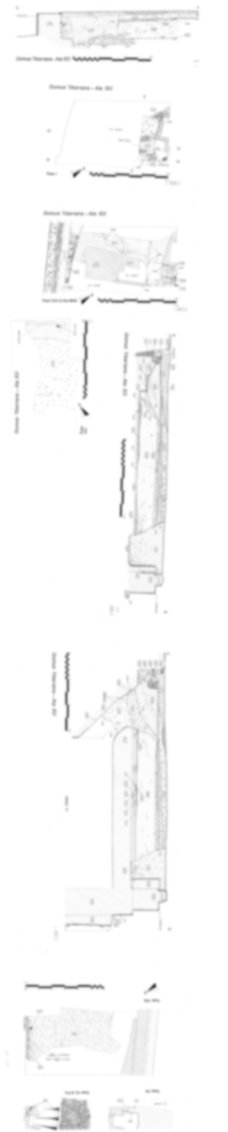 Roma, Palatino. Area sud-ovest. Domus Tiberiana - settore 30