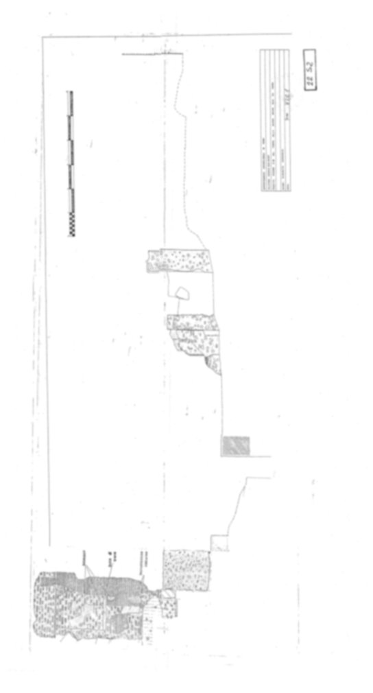 Roma, Palatino. Area sud-ovest. Tempio della Magna Mater, settore ovest