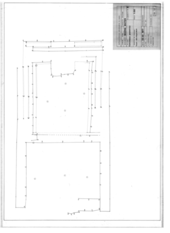 Roma, Palatino. Area sud-ovest; Tempio della Magna Mater
