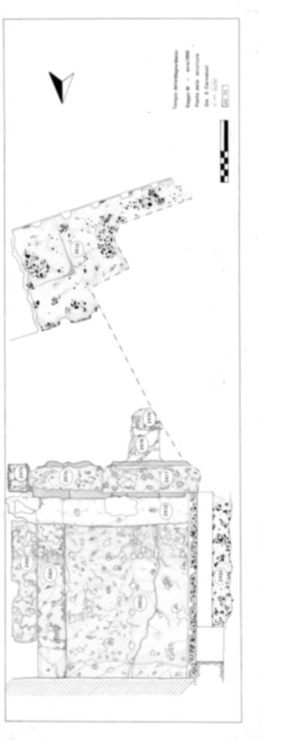 Roma, Palatino. Area sud-ovest. Tempio della Magna Mater, settore ovest