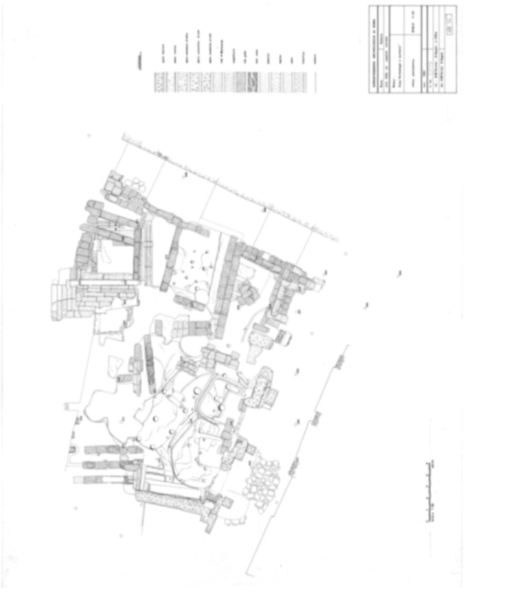 Roma, Palatino. Area sud-ovest. Tempio della Magna Mater; Capanne romulee