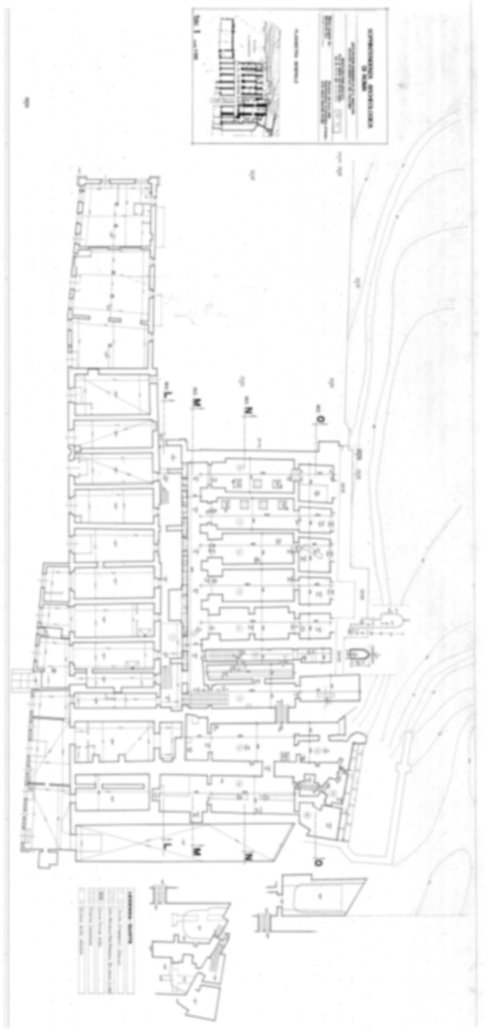 Roma, Palatino. Area sud-ovest. Pendici; Via dei Cerchi; Sant'Anastasia
