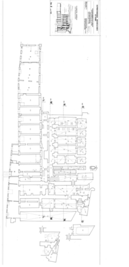 Roma, Palatino. Area sud-ovest. Pendici; Via dei Cerchi; Sant'Anastasia