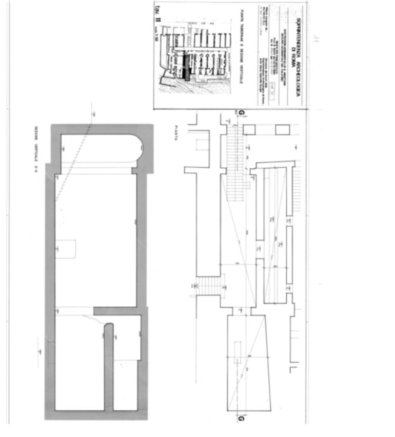 Roma, Palatino. Area sud-ovest. Pendici; Via dei Cerchi; Sant'Anastasia