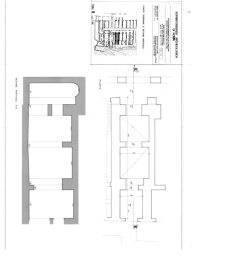 143S2 - Roma, Palatino. Area sud-ovest. Pendici; Via dei Cerchi; Sant'Anastasia