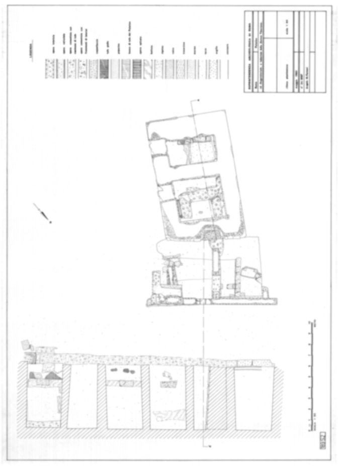 Roma, Palatino. Area sud-ovest. Auguratorium; Domus Tiberiana