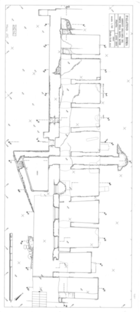 Roma, Palatino. Area sud-ovest. Domus Tiberiana - Settore 3, 30