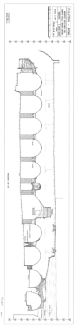 Roma, Palatino. Area sud-ovest. Domus Tiberiana - Settore 3, 31