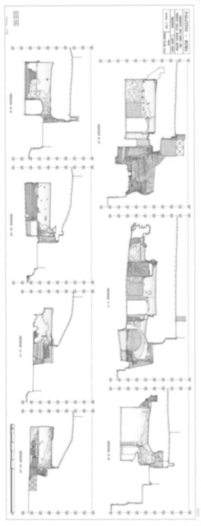 Roma, Palatino. Area sud-ovest. Domus Tiberiana - Settore 3, 30